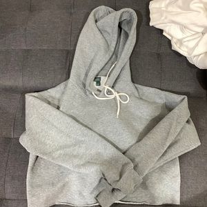 Gray cropped hoodie. Brand is Wild Fable, the size is medium.
